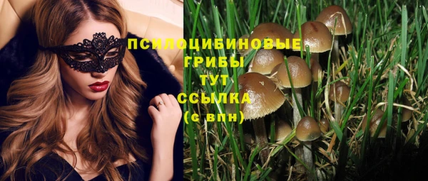 бутират Алзамай