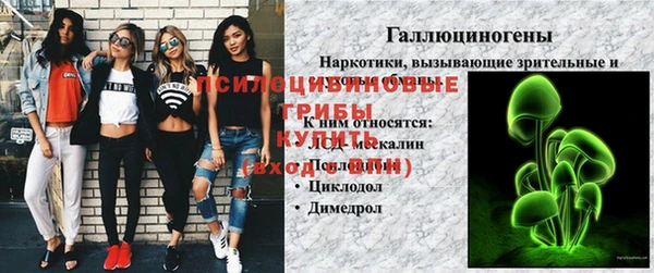 сатива Абаза