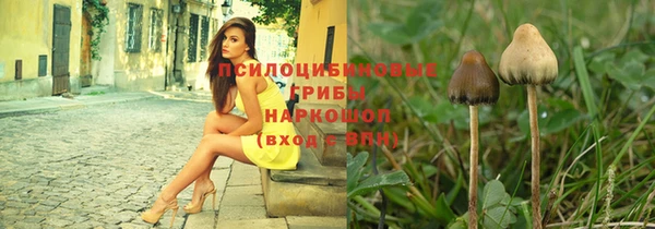 бутират Алзамай