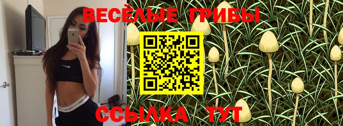 Псилоцибиновые грибы MAGIC MUSHROOMS Сыктывкар