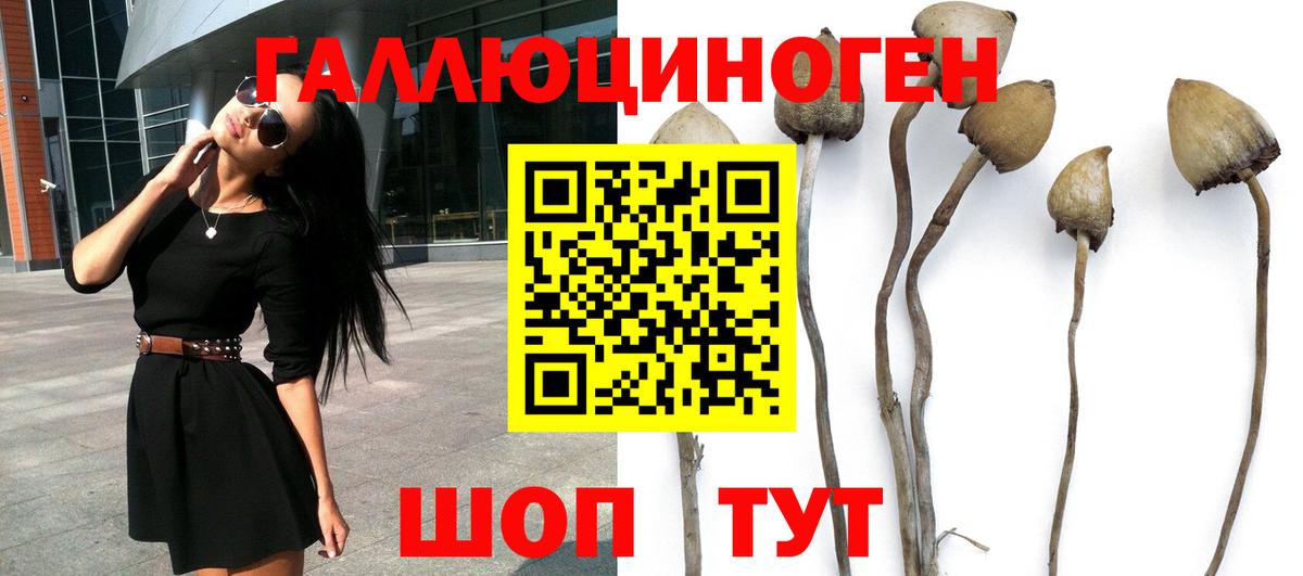 Галлюциногенные грибы Psilocybe  Галлюциногенные грибы ЛСД  Сыктывкар  Вход с VPN 